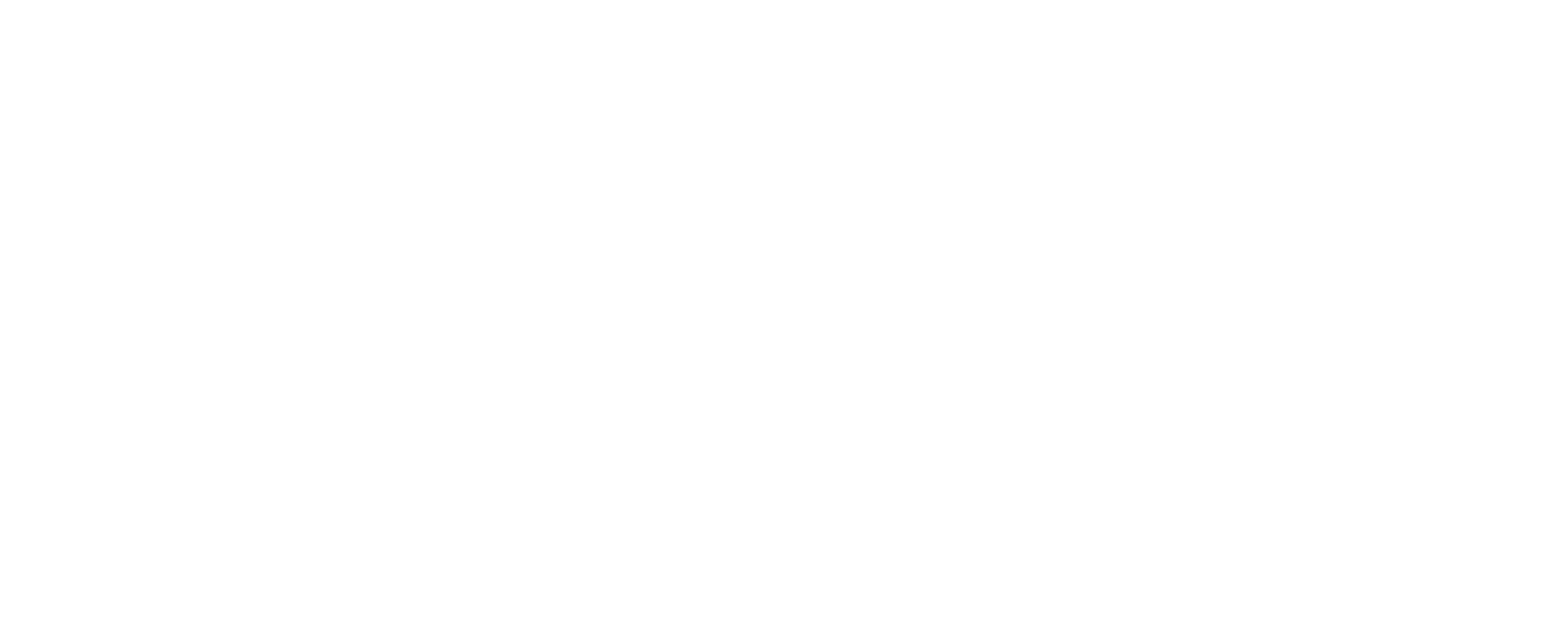 LOGO ONEPROTECTINS WITHE